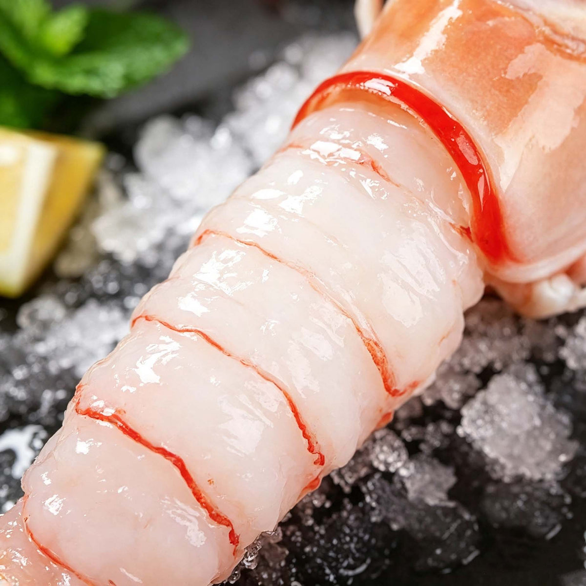 Premium Frozen Deep Sea Scampi
