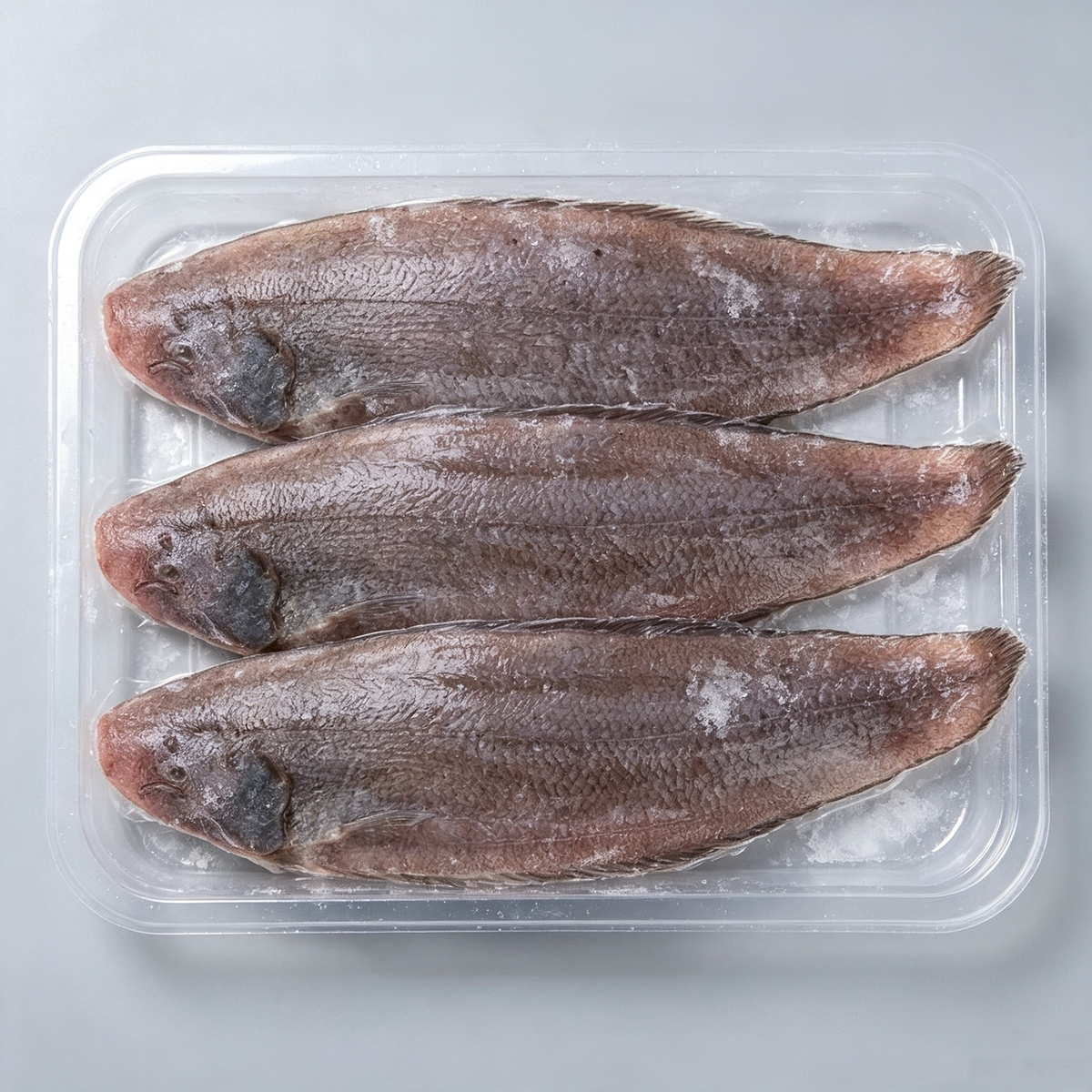 Frozen Sole Fish