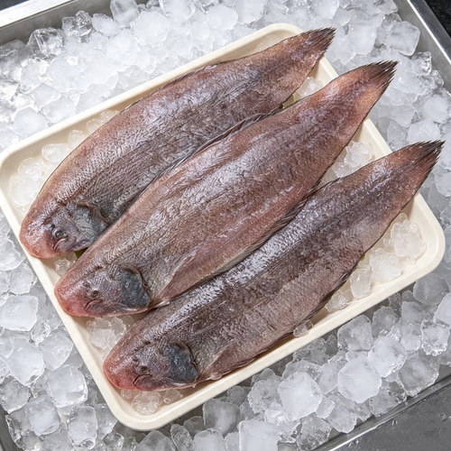 Frozen Sole Fish